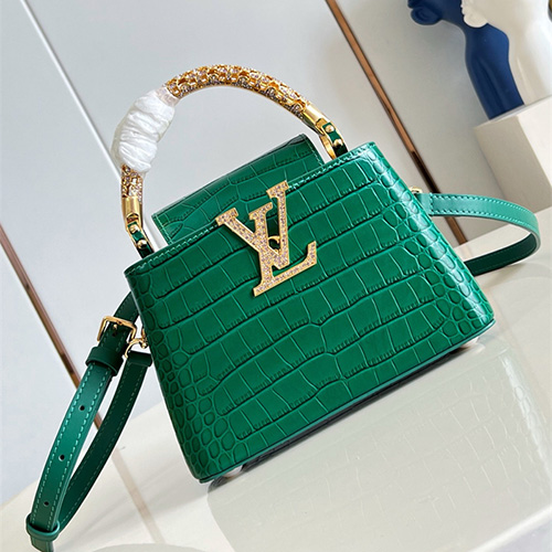 루이비통 카퓌신 미니 M14177 2026/신상